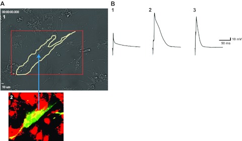 Figure 7.