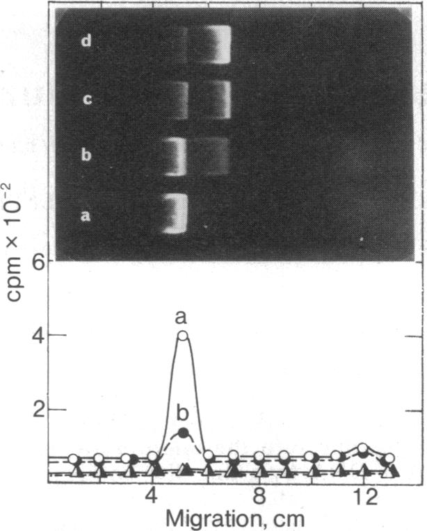 graphic file with name pnas00003-0088-a.jpg