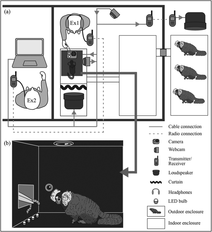 Fig. 1