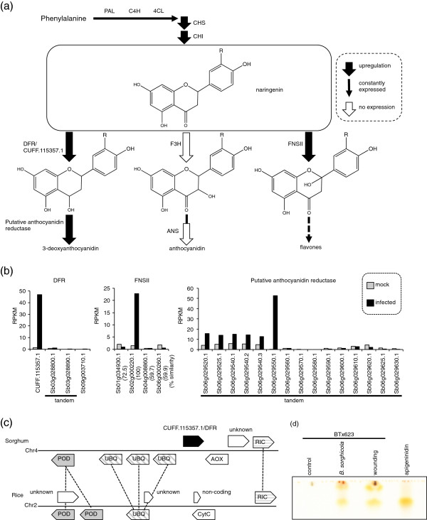 Figure 4 