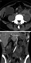 Fig. 9