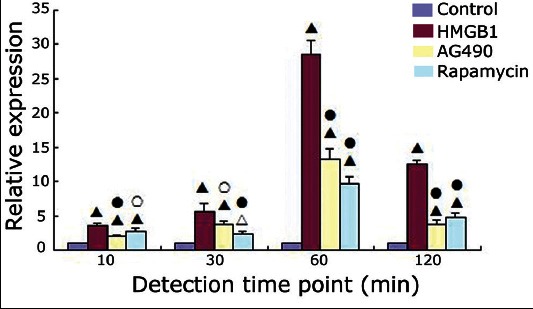 FIGURE 2