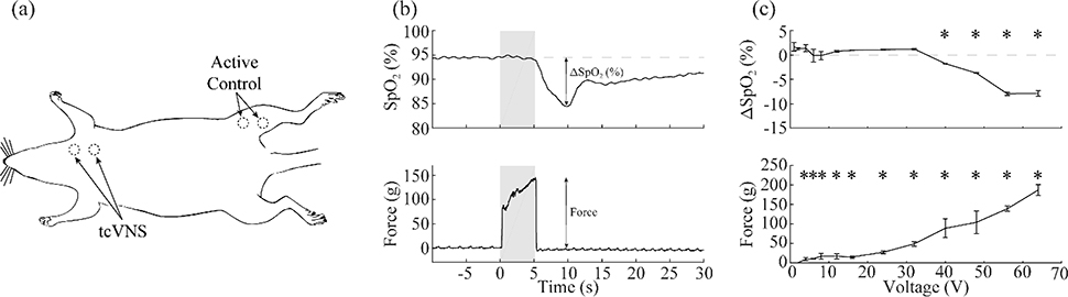 Figure 2: