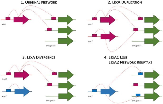 Figure 10.