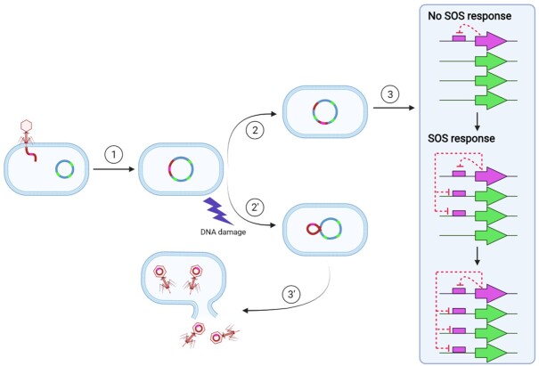 Figure 9.