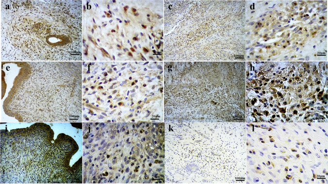 Fig. 8