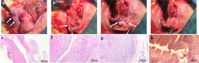 Fig. 6