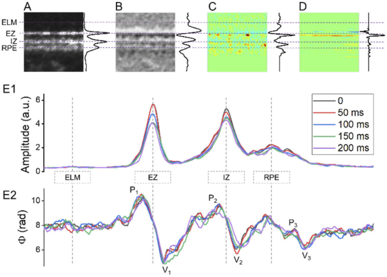 Fig. 4.