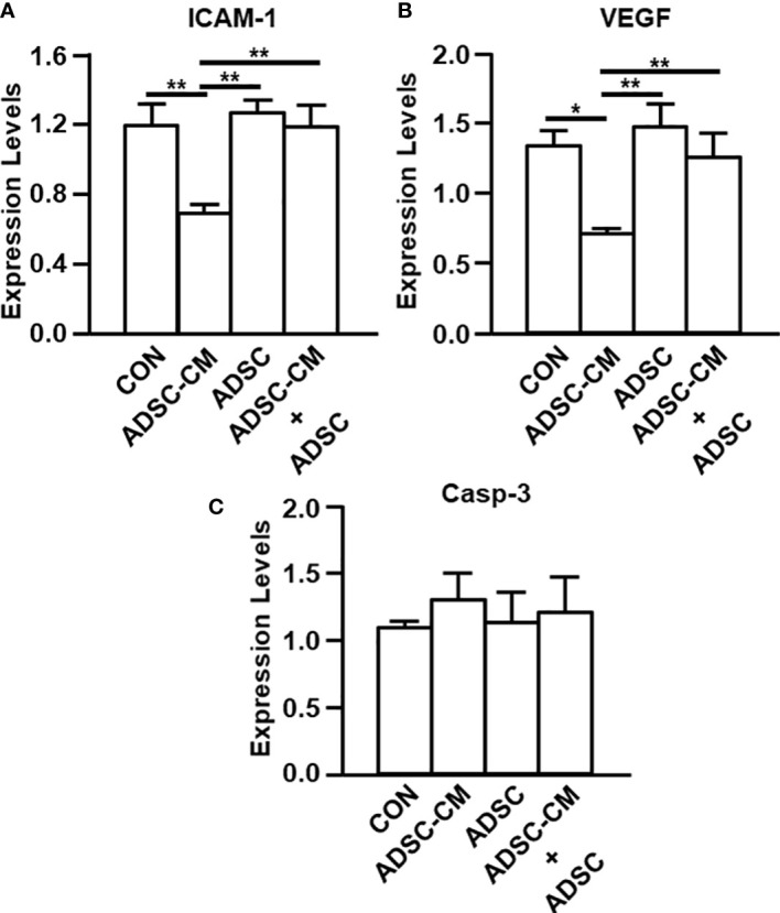 Figure 4