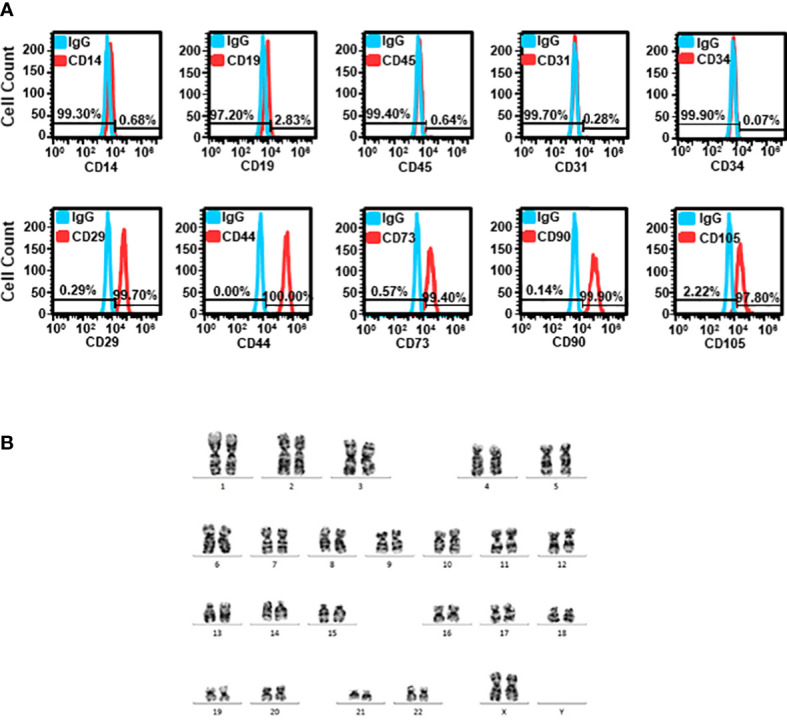 Figure 2