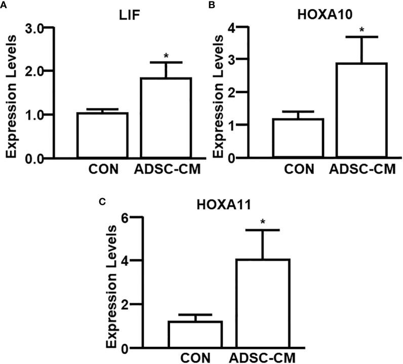 Figure 7