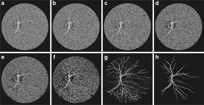 Fig. 6