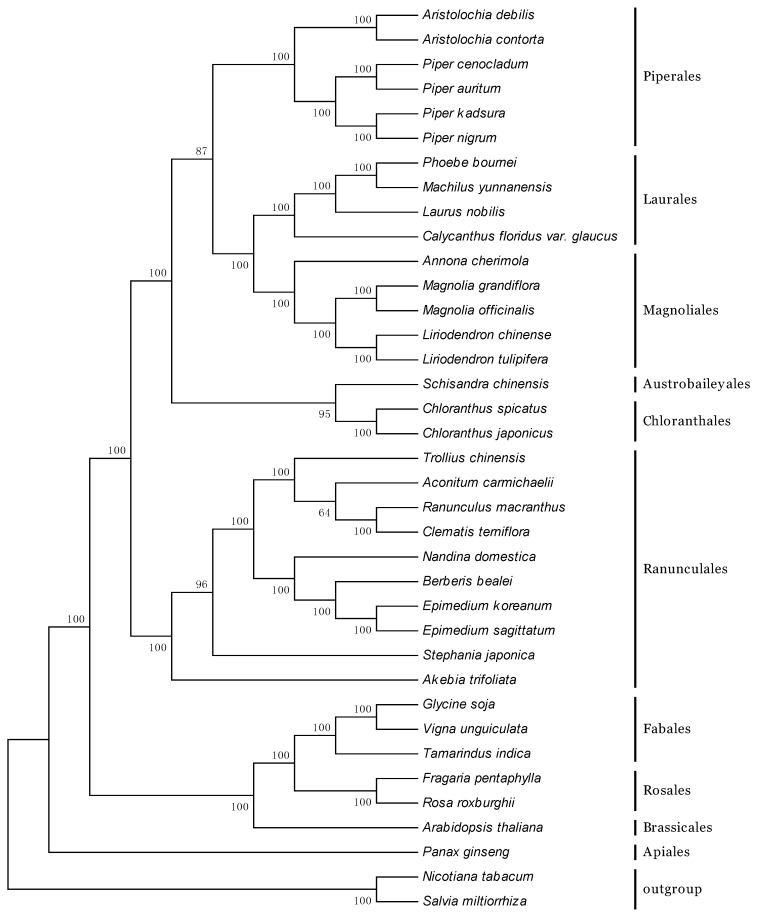 Figure 7