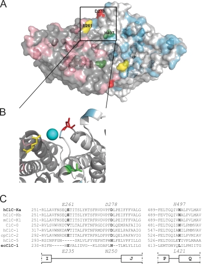 Figure 5.