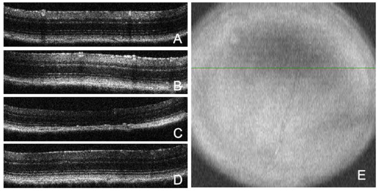 Figure 6