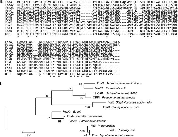 FIG 1