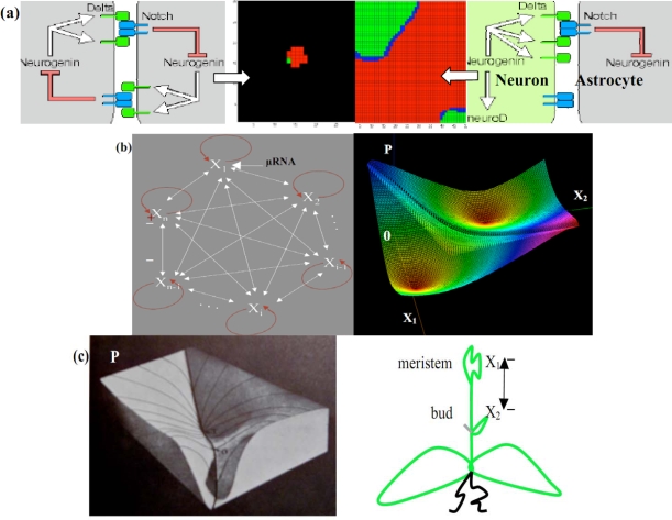 Figure 12.