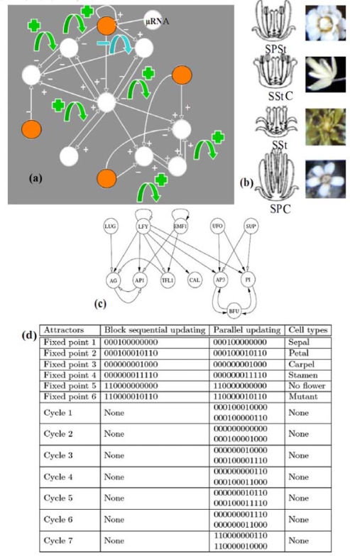 Figure 7.