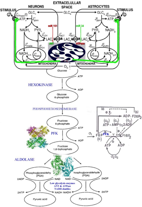 Figure 17.