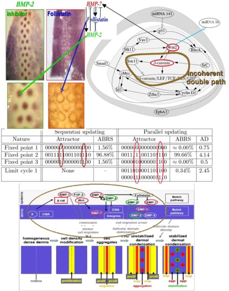 Figure 19.