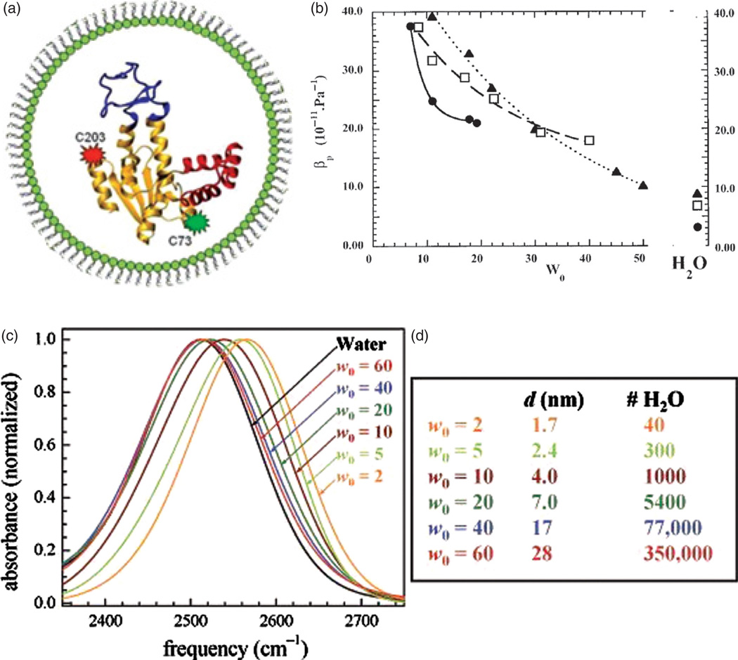 Figure 21