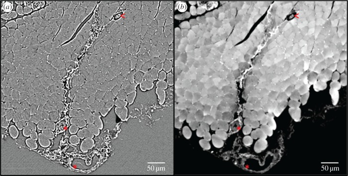 Figure 7.