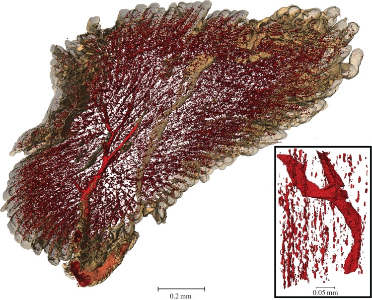 Figure 9.