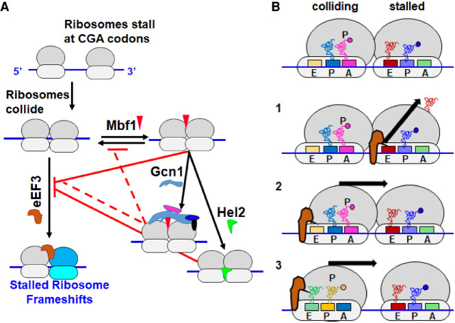 FIGURE 7.