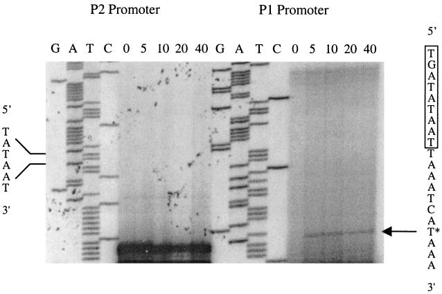 FIG. 5