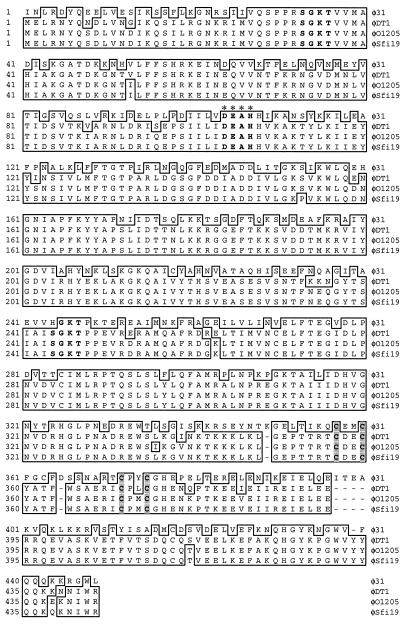 FIG. 6