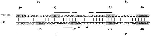 FIG. 8