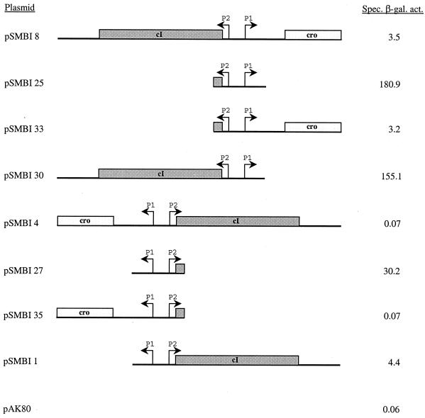 FIG. 7