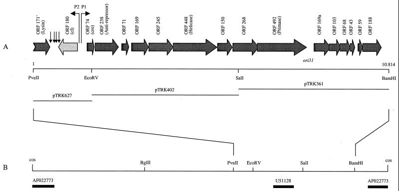 FIG. 1