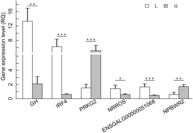 Figure 5