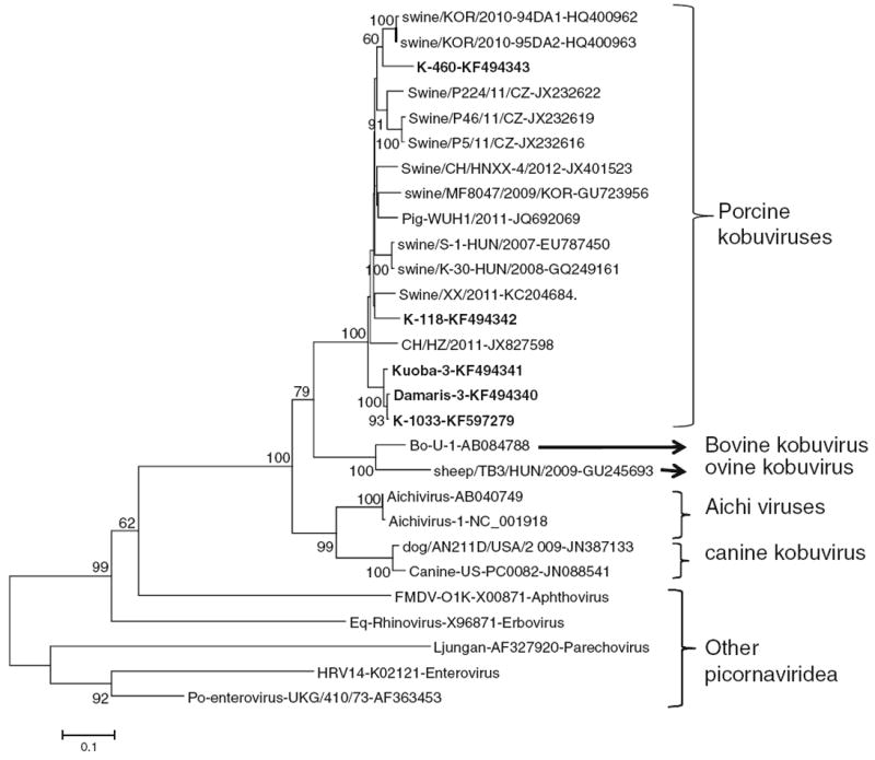 Fig. 1