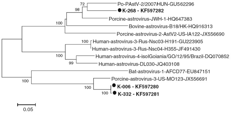 Fig. 2