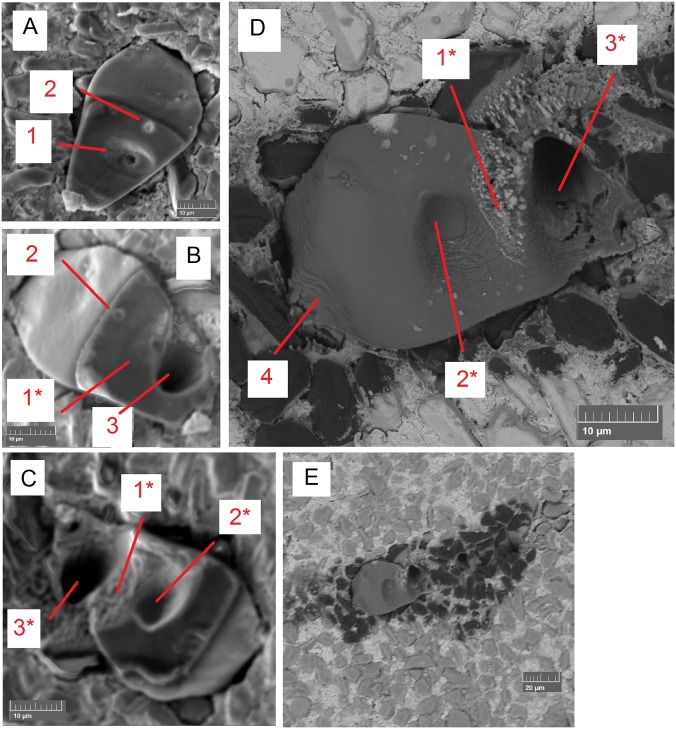 Fig. S3.