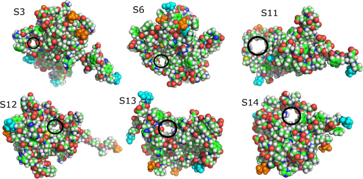 Figure 11