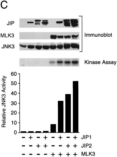 FIG. 6