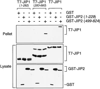 FIG. 8