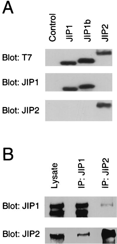 FIG. 9