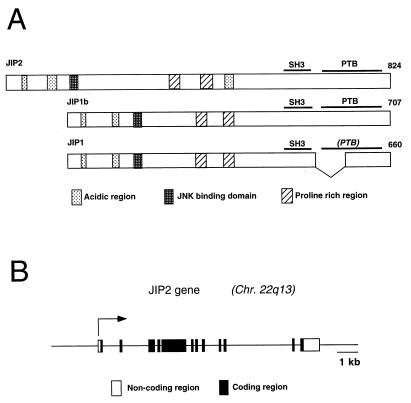 FIG. 1