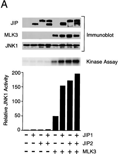 FIG. 6