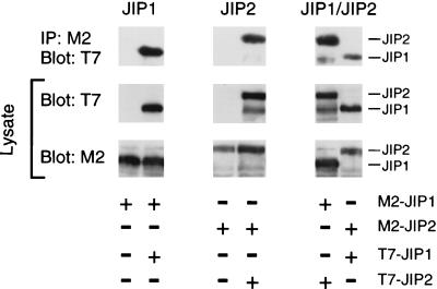 FIG. 7