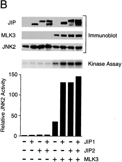 FIG. 6