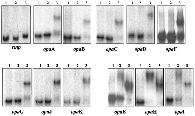 FIG. 8.