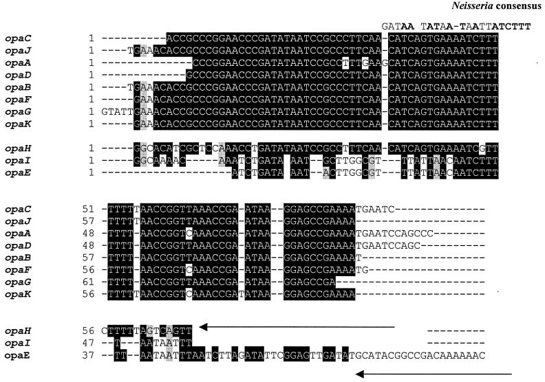 FIG. 7.