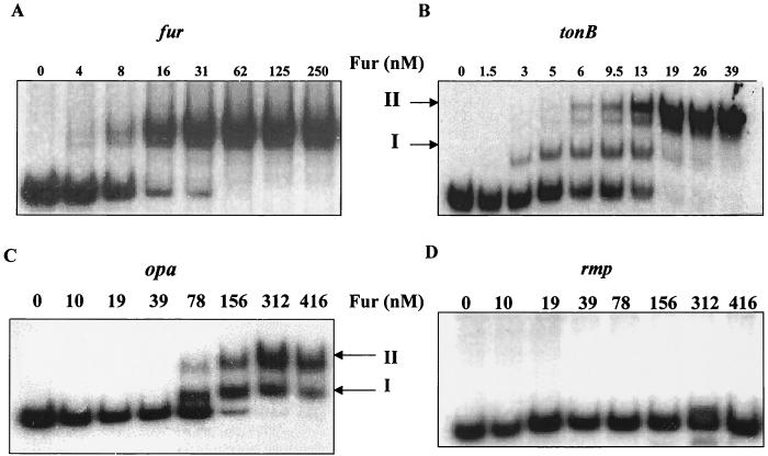 FIG. 5.