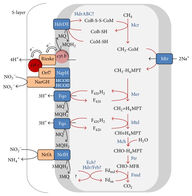 Figure 5