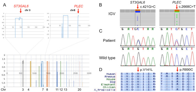 Figure 4.